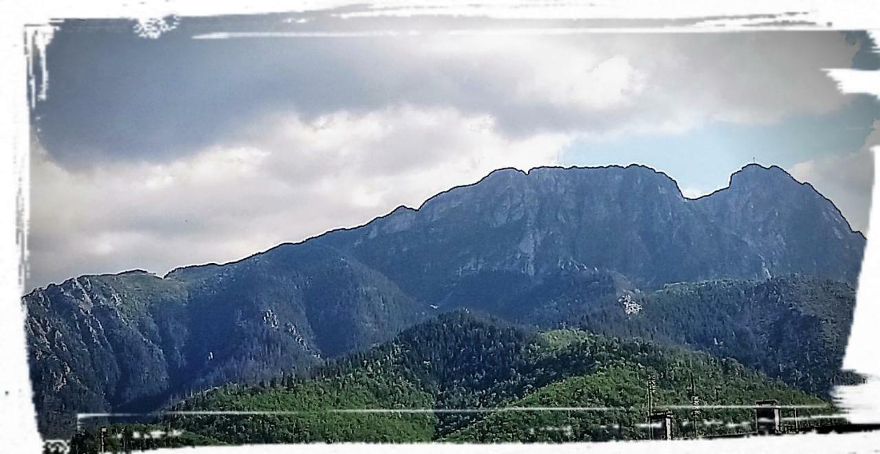 Pokoje W Centrum "Cicha" Zakopane Luaran gambar